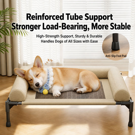 Elevated Breathable Dog Cot Bed