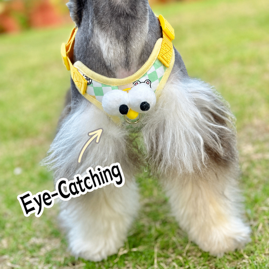 Adjustable Dog Harness and Leash Set