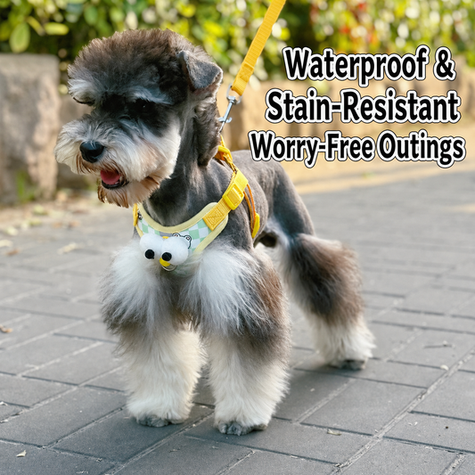 Adjustable Dog Harness and Leash Set