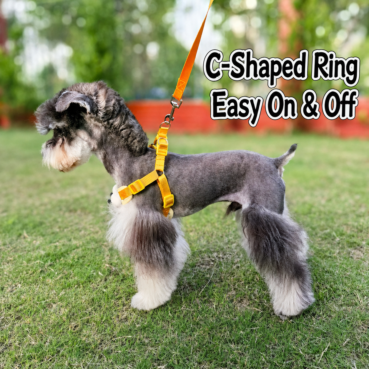 Adjustable Dog Harness and Leash Set