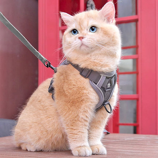 Reflective Escape-Proof Cat Harness and Leash Set