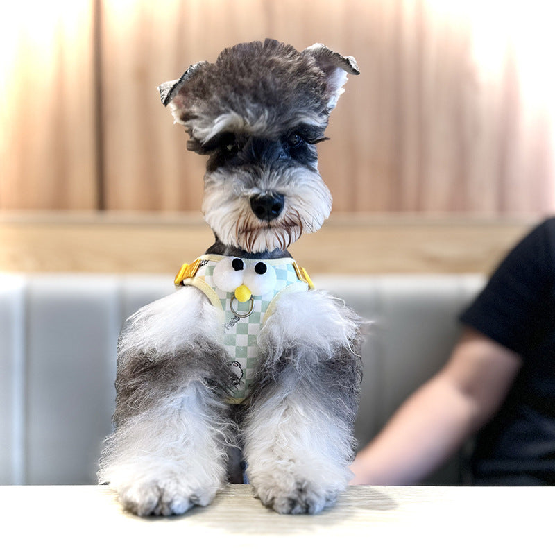 Adjustable Dog Harness and Leash Set